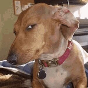 Meet your Posher, Morgan Tookers!